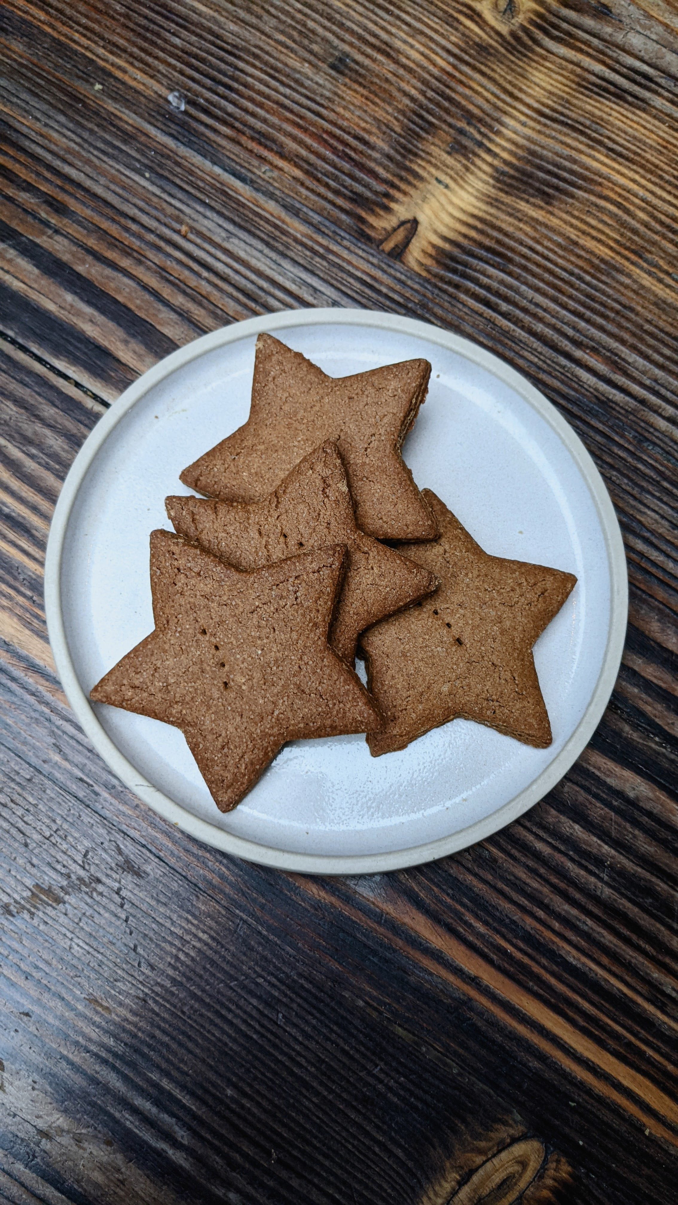 Gingerbread Biscuit (Pack of 4)