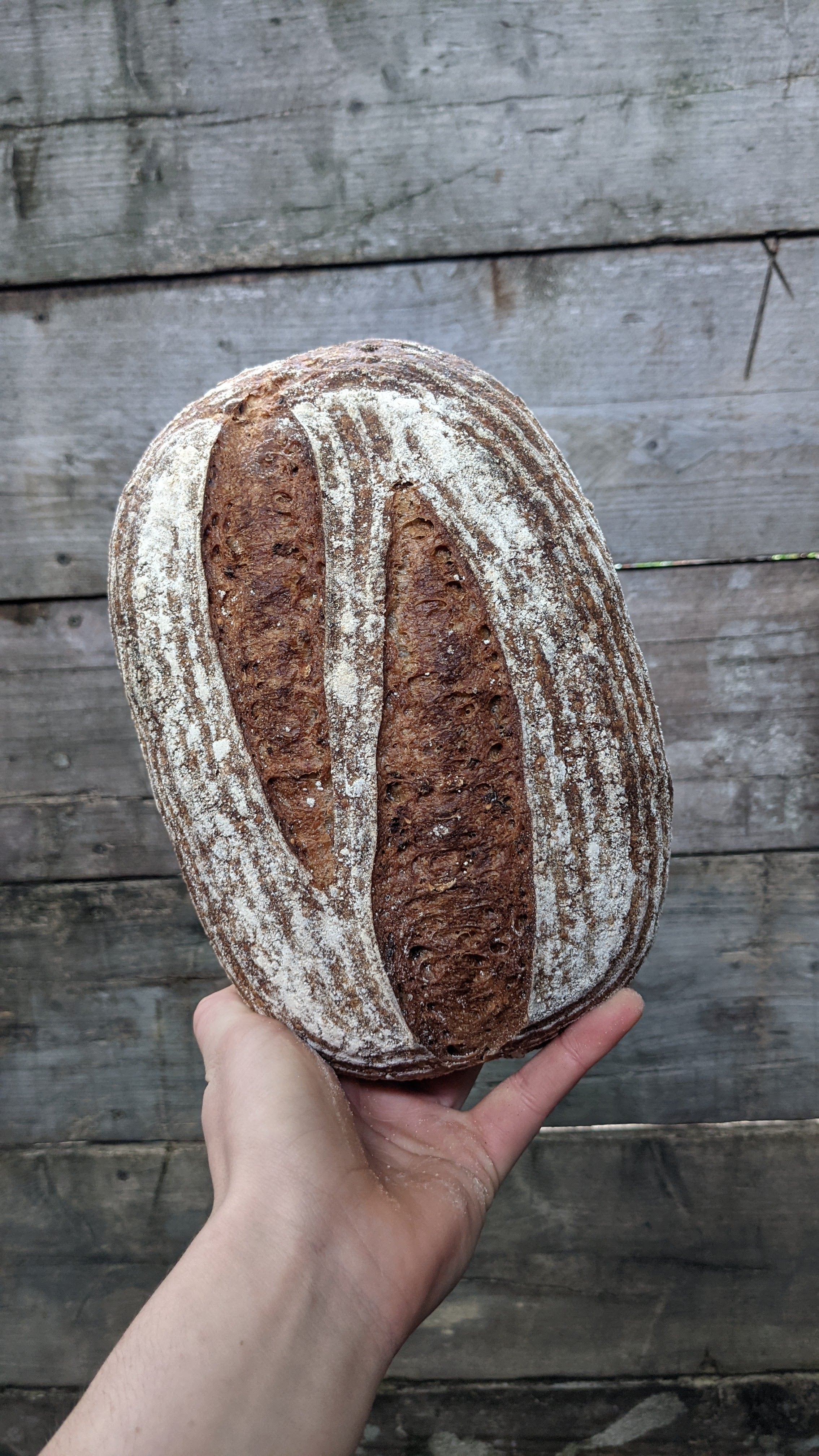 Malted Wheat (800g)
