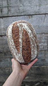 Malted Wheat (800g)